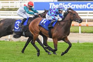 Evie Girl & Noel Callow, Morn, 27 Dec 2020 Evie Girl & Noel Callow, Morn, 27 Dec 2020